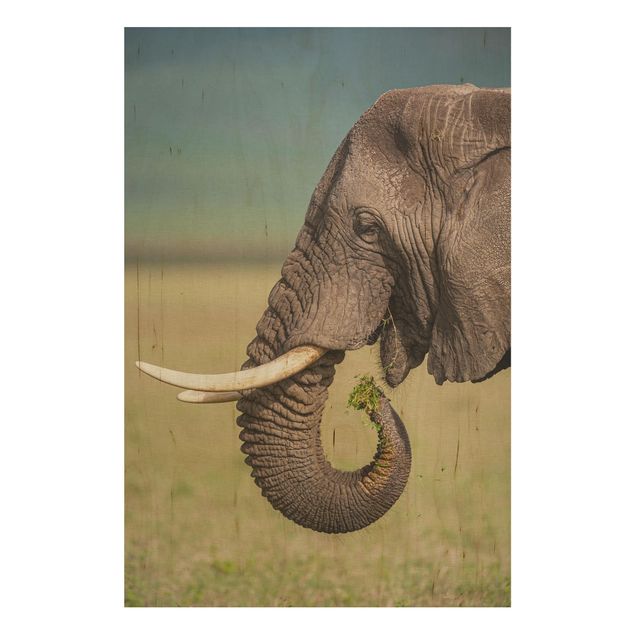 Quadro in legno - Elefanti alimentazione a Africa - Verticale 2:3