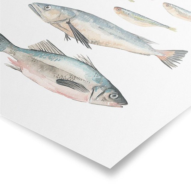 Poster - Sette pesce in acqua di colore II - Verticale 3:2