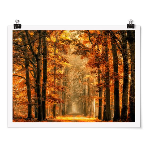 Poster - Enchanted Forest In autunno - Orizzontale 3:4
