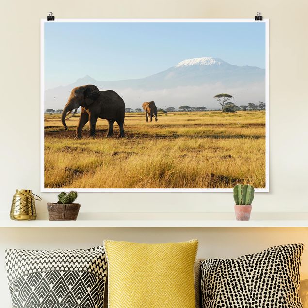 Quadri animali Elefanti Di Fronte Al Kilimanjaro in Kenya
