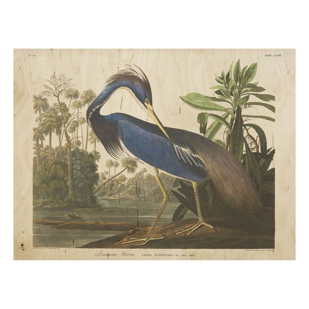 Stampa su legno - bordo Vintage Louisiana Heron - Orizzontale 3:4
