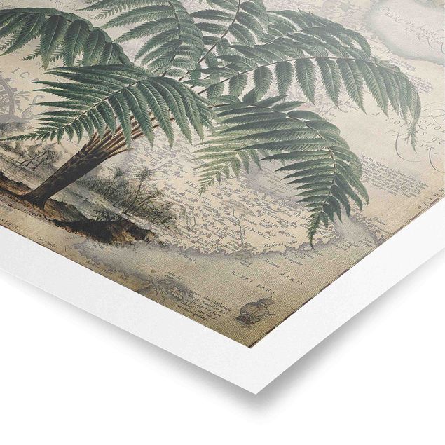 Poster - Vintage Collage - Palm e mappa del mondo - Orizzontale 3:4