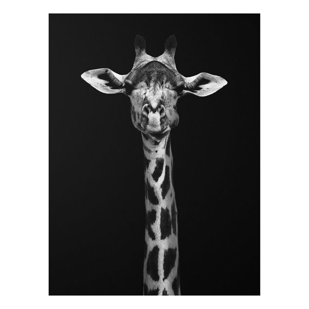 Quadro in forex - Scuro Giraffe Portrait - Verticale 3:4
