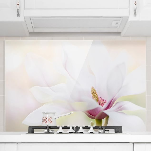 paraschizzi cucina vetro magnetico Delicato fiore di magnolia