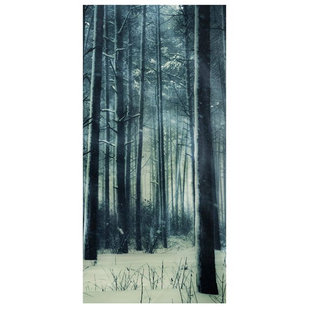 Tenda a pannello - Mystic Winter Forest 250x120cm