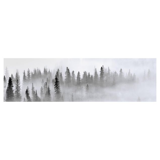 Rivestimento cucina - Nebbia nel bosco di abeti in bianco e nero