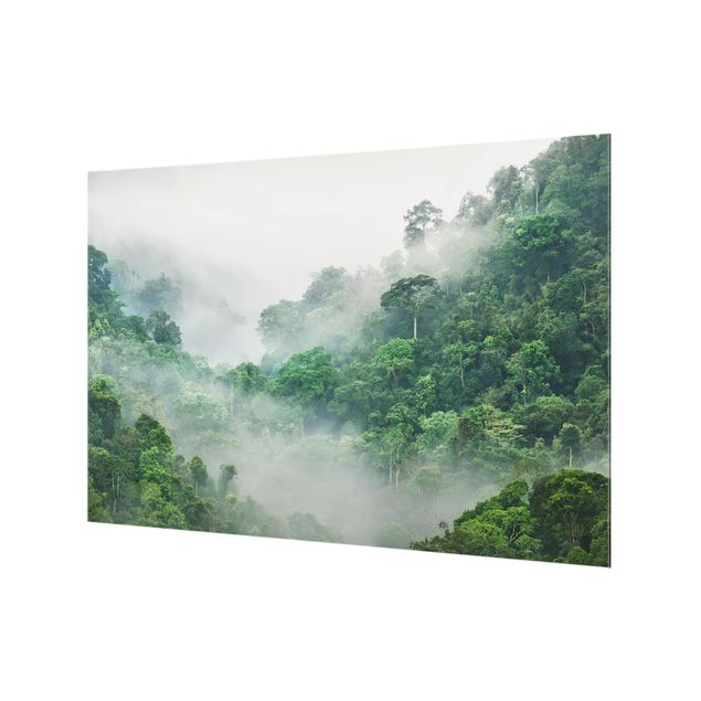 Paraschizzi in vetro - Jungle In The Fog