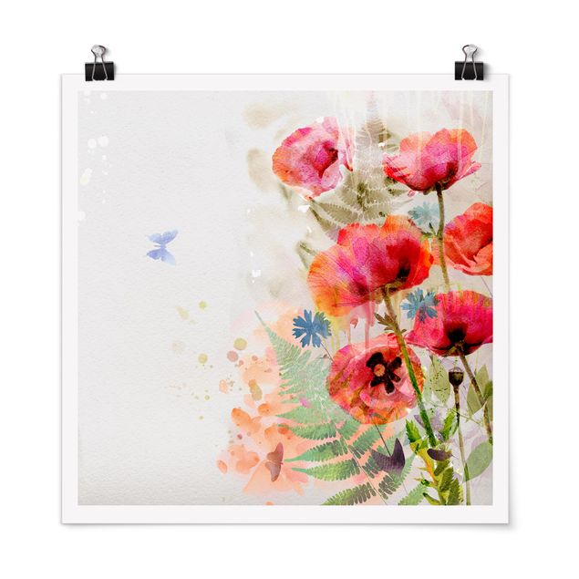 Poster - Acquerello fiori di papavero - Quadrato 1:1