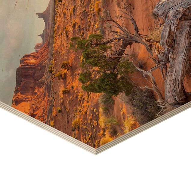 Esagono in legno - Monument Valley Navajo Tribal Park Arizona