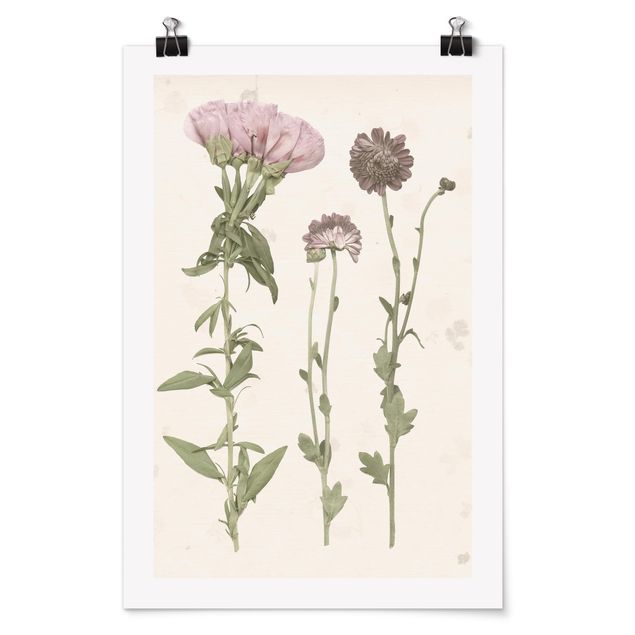 Poster - Herbarium In Pink III - Verticale 3:2