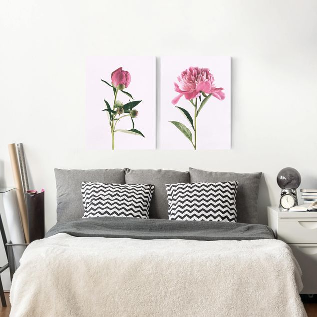Quadri moderni per soggiorno Peonie in rosa