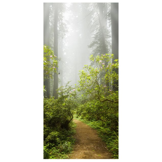 Tenda a pannello - Misty forest path 250x120cm