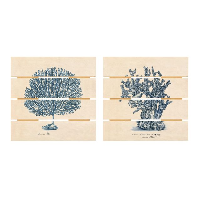 Quadro in legno effetto pallet - Mare Coralli Study Set I - Quadrato 1:1