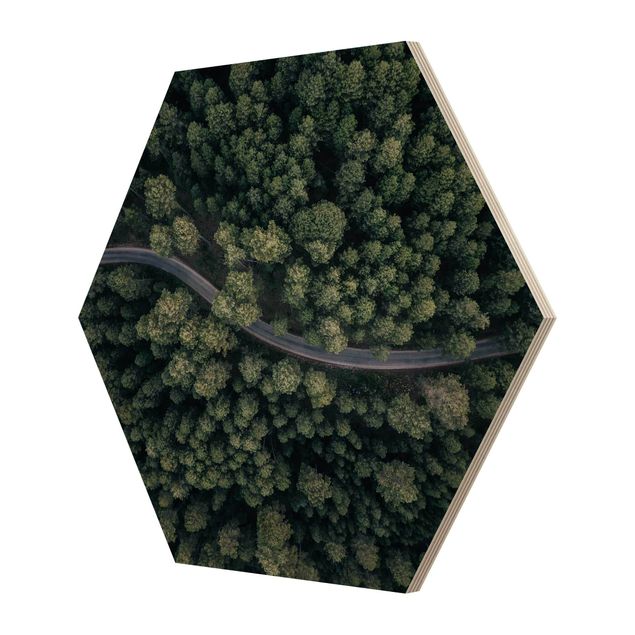 Esagono in legno - Veduta aerea - Forest Road From The Top
