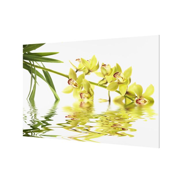 Paraschizzi in vetro - Elegant Orchid Waters