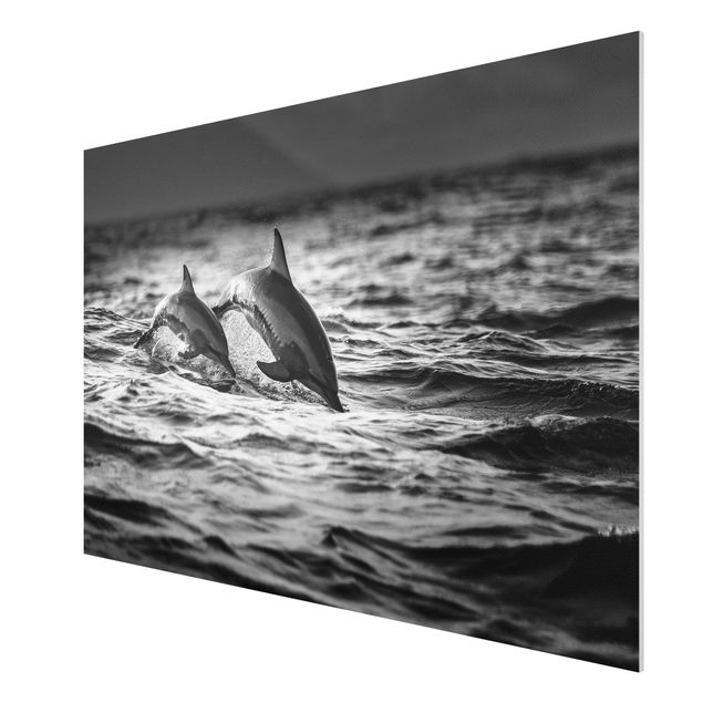 Quadro in forex - Due delfini che saltano - Orizzontale 3:2