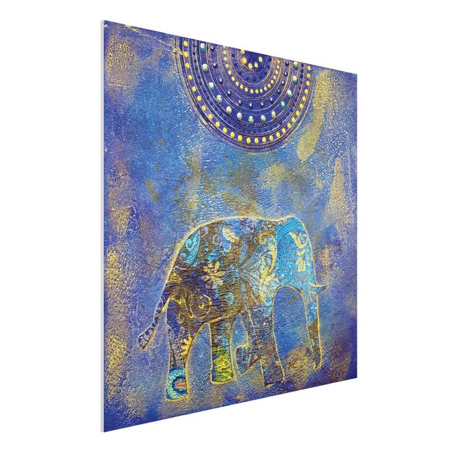 quadri con animali Elefante a Marrakech