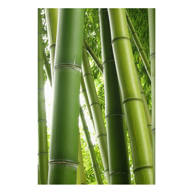 Quadro in forex - Bamboo Trees No.1 - Verticale 2:3