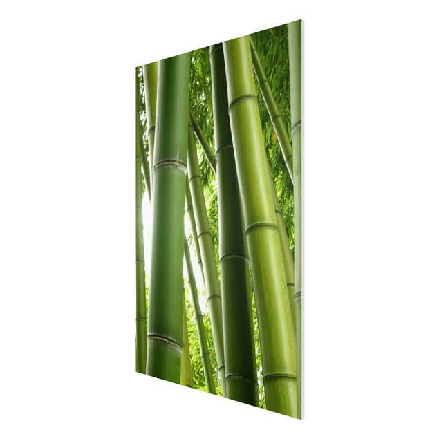 Quadro in forex - Bamboo Trees No.1 - Verticale 2:3