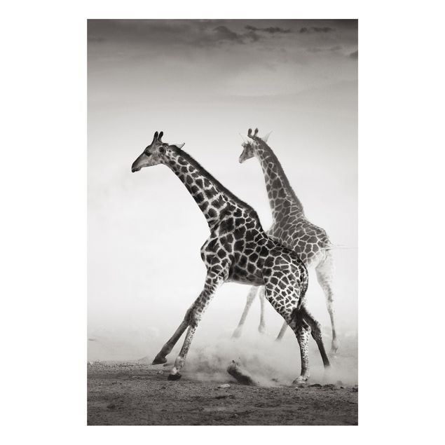 Quadro in forex - Giraffe hunting - Verticale 2:3