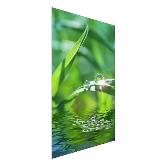 Quadro in forex - Green Ambiance II - Verticale 2:3