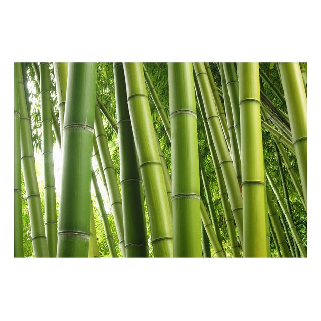 Quadro in forex - Bamboo Trees No.1 - Orizzontale 3:2