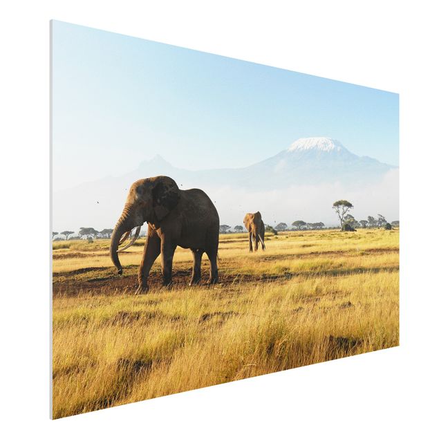 Quadri animali Elefanti di fronte al Kilimangiaro in Kenya