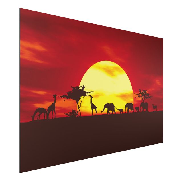 quadri con animali Sunset Caravan