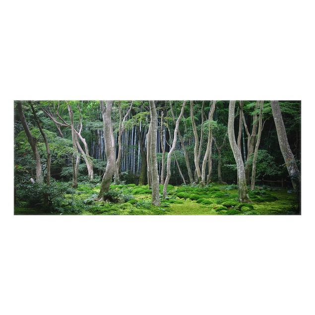 Paraschizzi in vetro - Japanese Forest