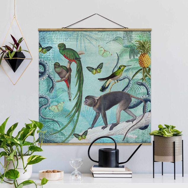 stampe animali Collage in stile coloniale - Scimmie e uccelli del paradiso