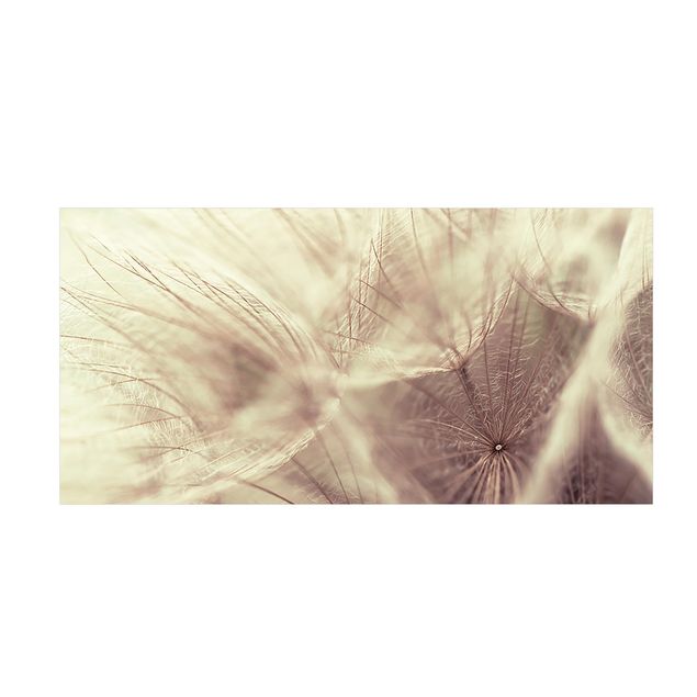 Tappeti floreali Macro ripresa dettagliata di un Soffione con effetto sfocato vintage