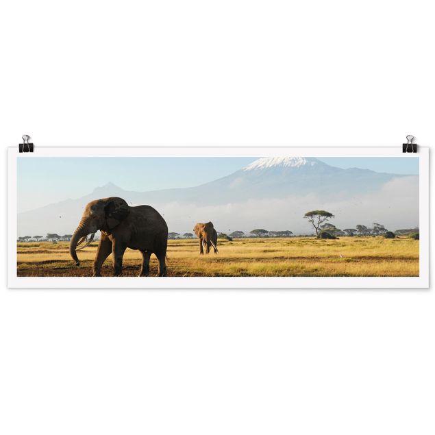 Poster - Elefanti Di Fronte Al Kilimanjaro in Kenya - Panorama formato orizzontale