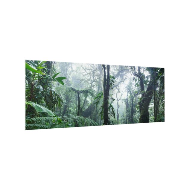 Paraschizzi in vetro - Foresta nuvolosa di Monteverde - Panorama 5:2