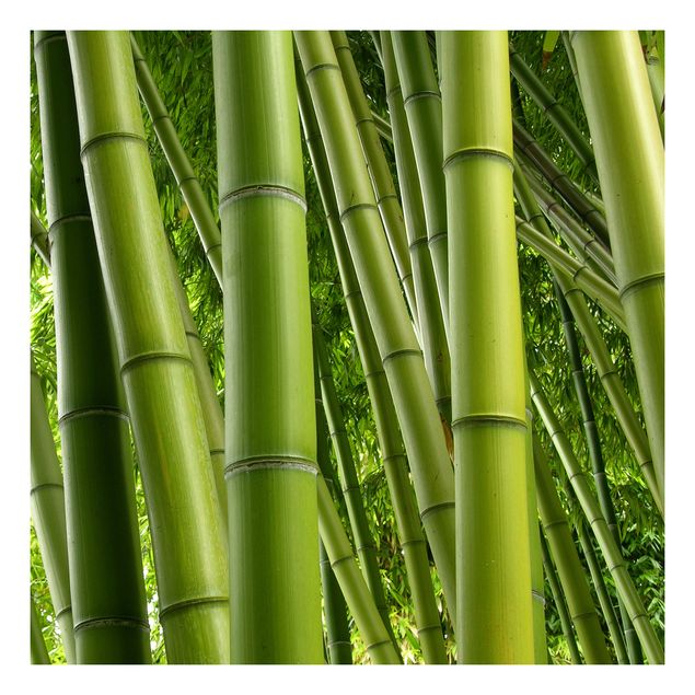 Carta adesiva per mobili IKEA - Lack Tavolino Bamboo Trees