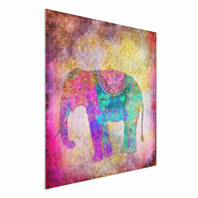 Quadri animali Collage colorato - Elefante indiano