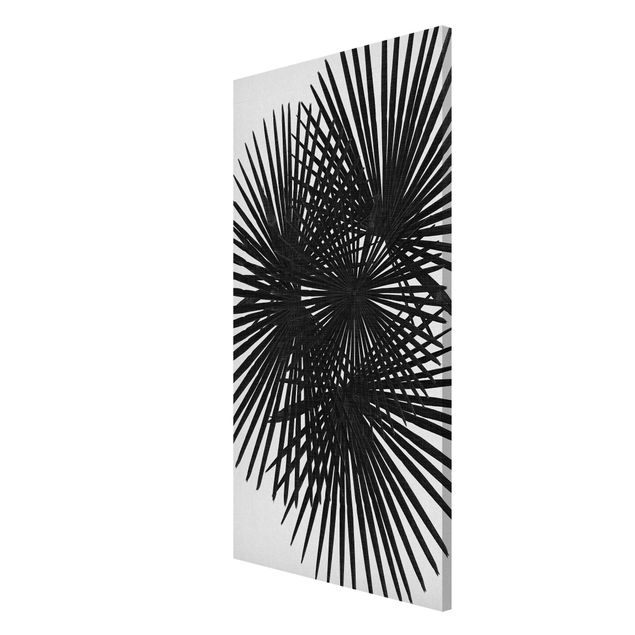 Lavagna magnetica - Foglie di palma in bianco e nero
