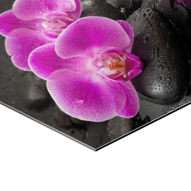 Esagono in Alluminio Dibond - Pink Orchid Fiori Sulle Pietre Con Le Gocce