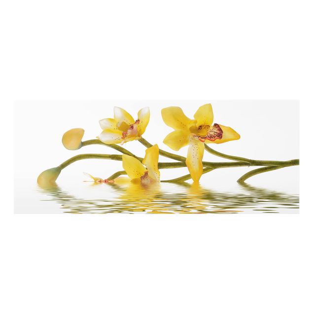 Paraschizzi in vetro - Saffron Orchid Waters