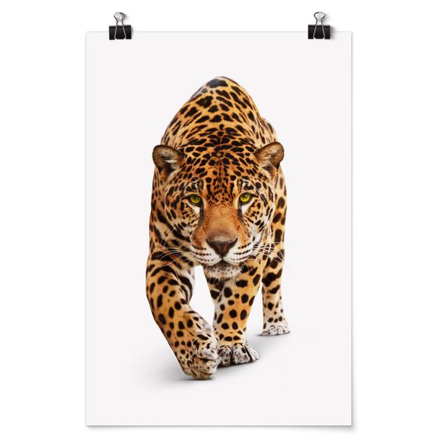 Poster - Creeping Jaguar - Verticale 3:2