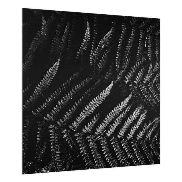 Paraschizzi in vetro - Botanica felce in bianco e nero - Quadrato 1:1