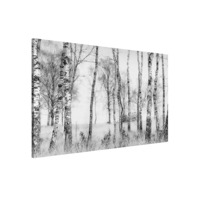Lavagna magnetica per ufficio Foresta di betulle mistica in bianco e nero