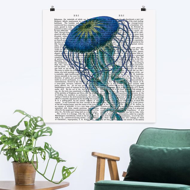 Poster illustrazioni Lettura con animali - Medusa
