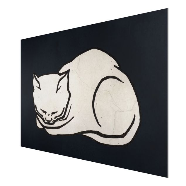 Stampa su alluminio - Illustrazione di gatto che dorme  - Orizzontale 2:3