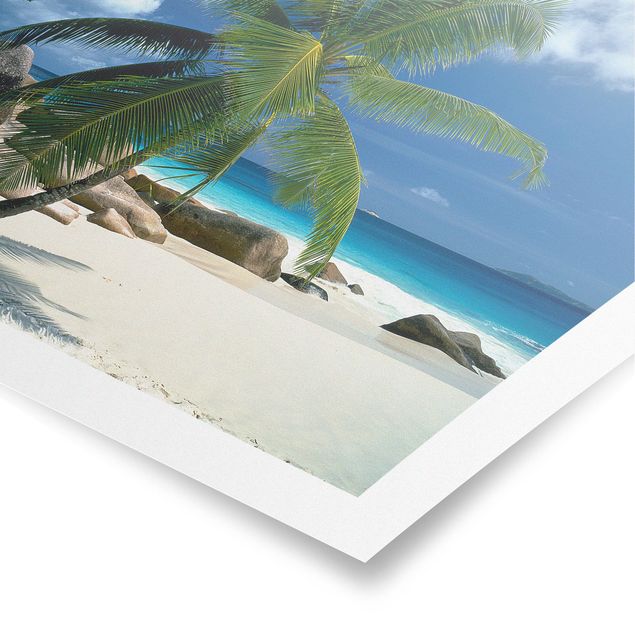 Poster - dream Beach - Quadrato 1:1