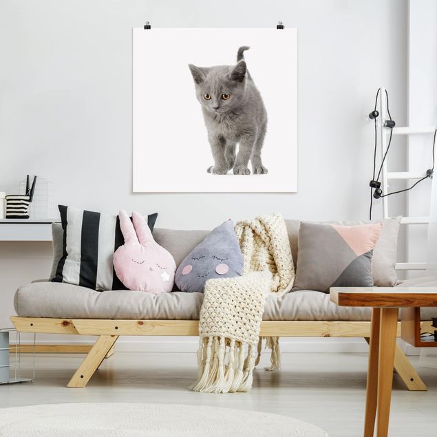 Poster - Mini Kitty - Quadrato 1:1