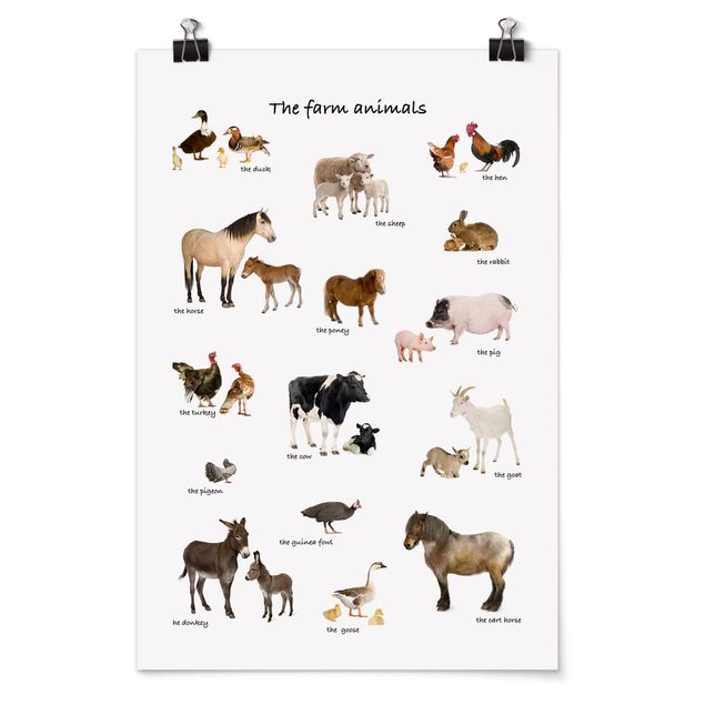Poster - fattoria Animali - Verticale 3:2