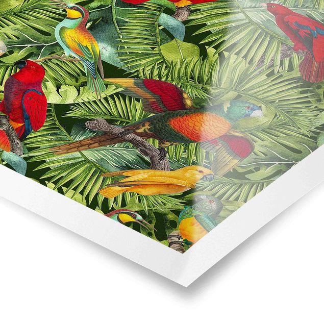 Poster - Colorato collage - Parrot In The Jungle - Verticale 3:2