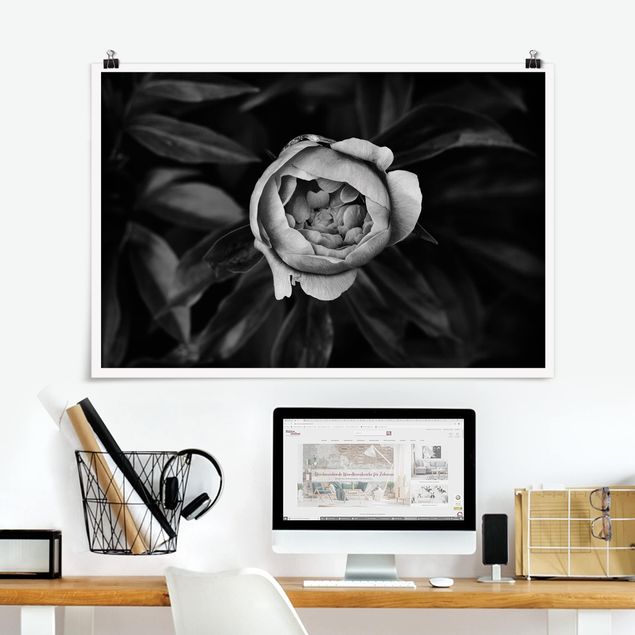 Poster bianco e nero formato orizzontale Fiore di peonia bianco Foglie anteriori nere