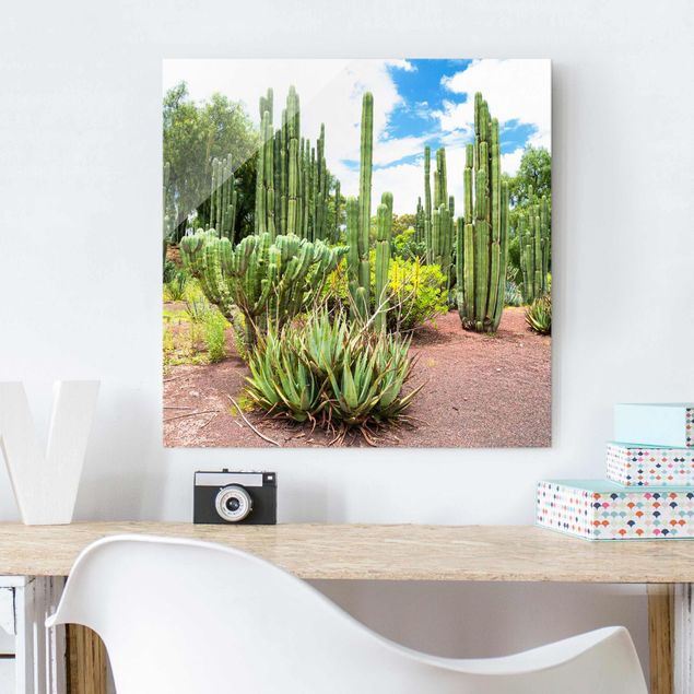 Quadro in vetro - cactus landscape - Quadrato 1:1