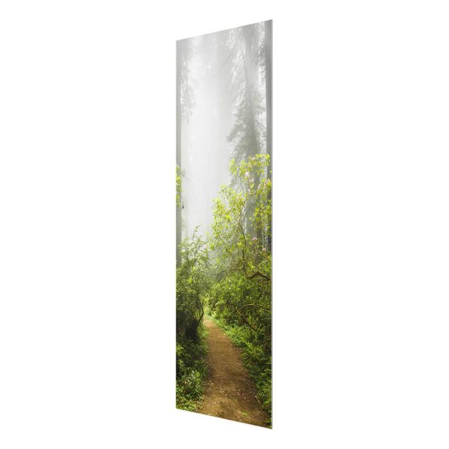 Quadro in vetro - Misty forest path - Pannello